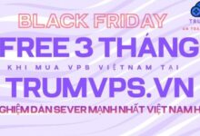 introducing-vietnam-vps-service-of-trumvps-company