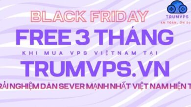 introducing-vietnam-vps-service-of-trumvps-company