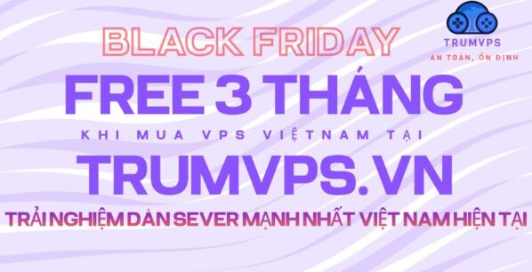 introducing-vietnam-vps-service-of-trumvps-company