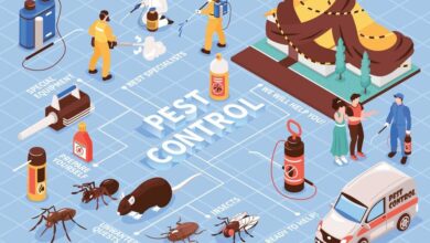 10-fact-checks-while-hiring-a-pest-control-company